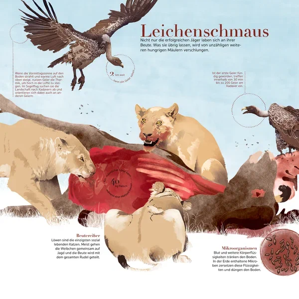 Afrika! — Seite 11