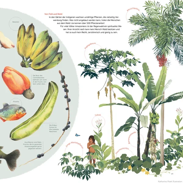 Amazonien — Seite 8