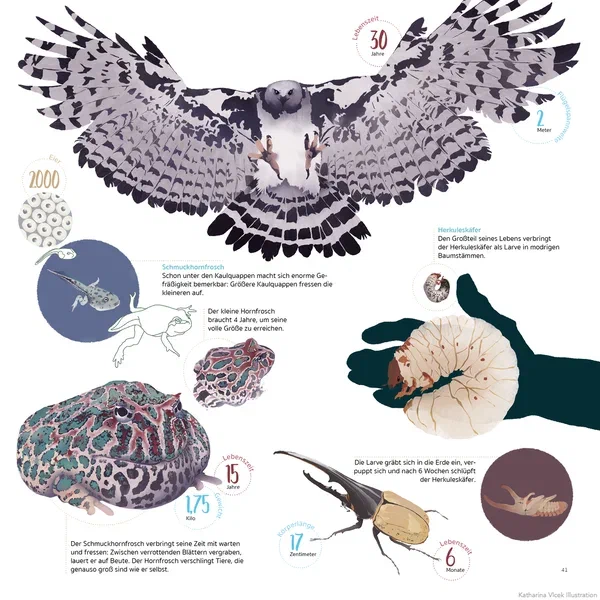 Amazonien — Seite 12