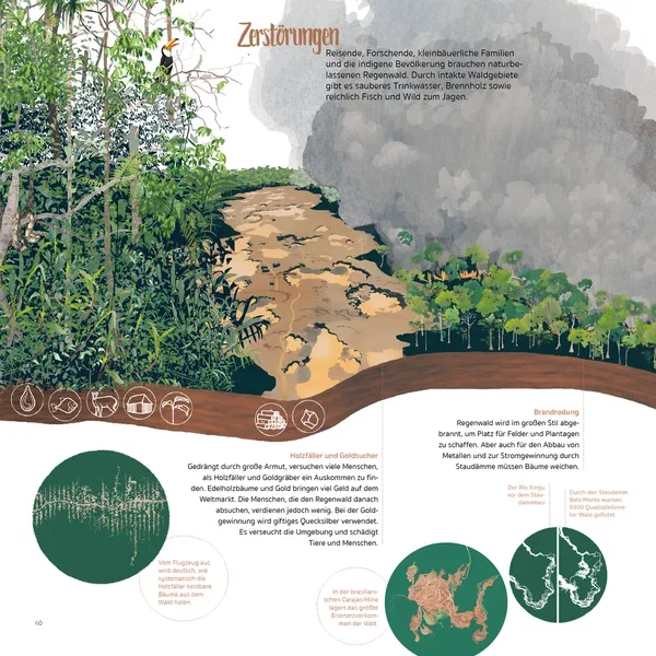 Amazonien — Seite 13