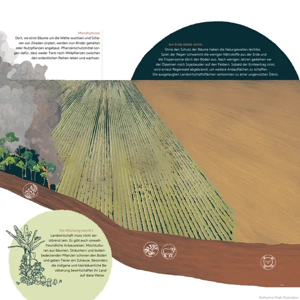 Amazonien — Seite 14