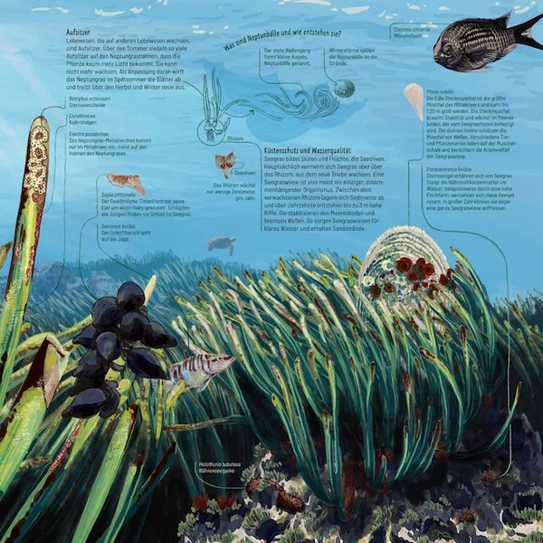 Mittelmeer — Seite 4